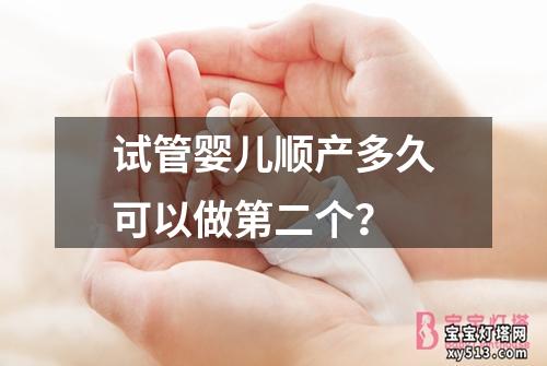 试管婴儿顺产多久可以做第二个？