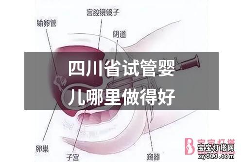 四川省试管婴儿哪里做得好