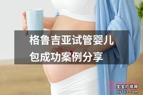 格鲁吉亚试管婴儿包成功案例分享