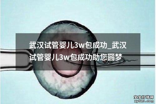 武汉试管婴儿3w包成功_武汉试管婴儿3w包成功助您圆梦