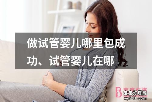 做试管婴儿哪里包成功、试管婴儿在哪