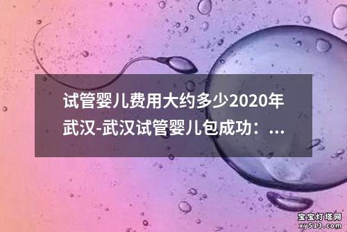 试管婴儿费用大约多少2020年武汉-武汉试管婴儿包成功：喜讯连连，家庭梦想成真