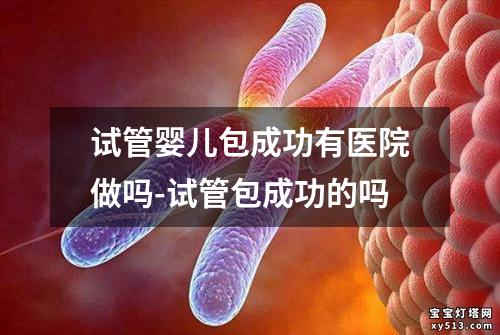 试管婴儿包成功有医院做吗-试管包成功的吗