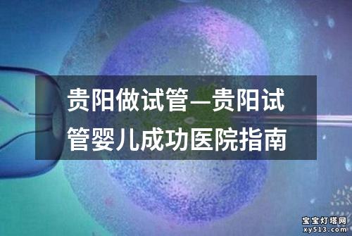 贵阳做试管—贵阳试管婴儿成功医院指南