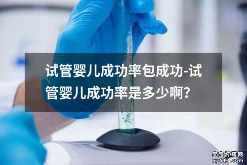 试管婴儿成功率包成功-试管婴儿成功率是多少啊？