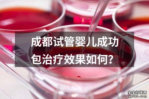 成都试管婴儿成功包治疗效果如何？