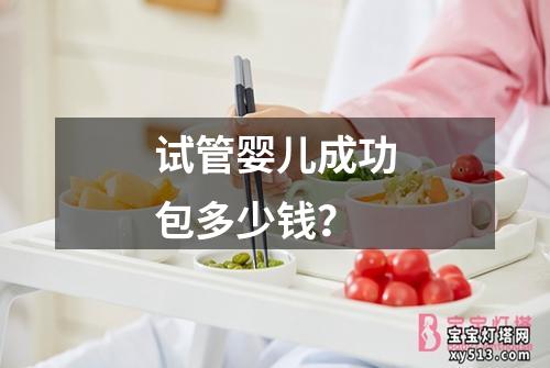 试管婴儿成功包多少钱？