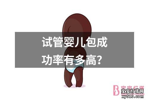 试管婴儿包成功率有多高？