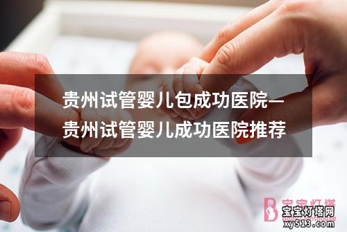 贵州试管婴儿包成功医院—贵州试管婴儿成功医院推荐