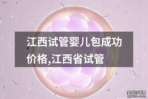 江西试管婴儿包成功价格,江西省试管