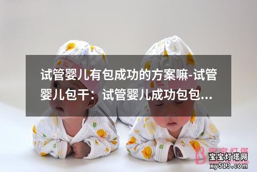 试管婴儿有包成功的方案嘛-试管婴儿包干：试管婴儿成功包包方案