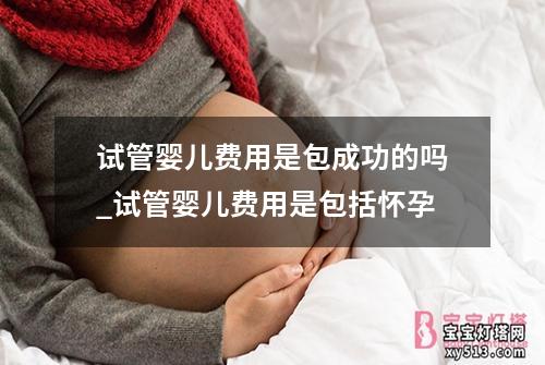 试管婴儿费用是包成功的吗_试管婴儿费用是包括怀孕