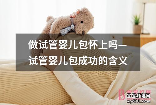 做试管婴儿包怀上吗—试管婴儿包成功的含义