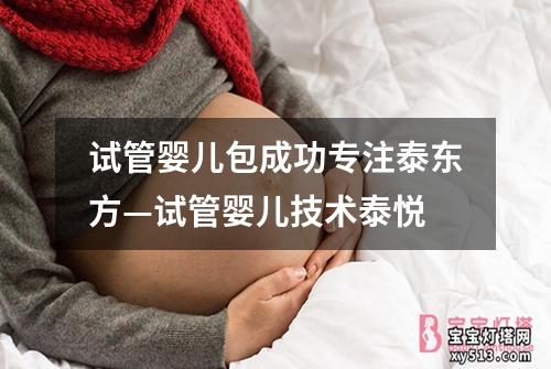 试管婴儿包成功专注泰东方—试管婴儿技术泰悦