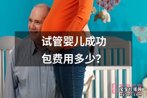 试管婴儿成功包费用多少？