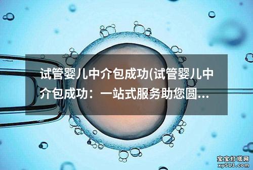 试管婴儿中介包成功(试管婴儿中介包成功：一站式服务助您圆梦)