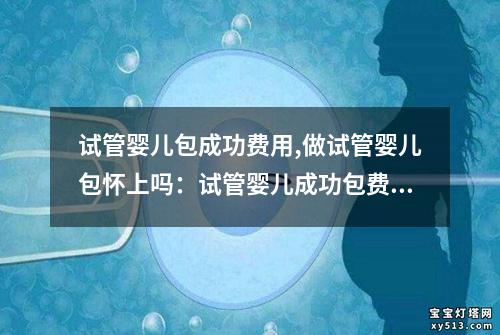 试管婴儿包成功费用,做试管婴儿包怀上吗：试管婴儿成功包费用攻略