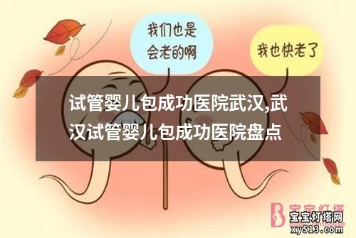 试管婴儿包成功医院武汉,武汉试管婴儿包成功医院盘点