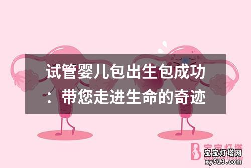 试管婴儿包出生包成功：带您走进生命的奇迹