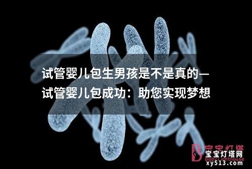 试管婴儿包生男孩是不是真的—试管婴儿包成功：助您实现梦想