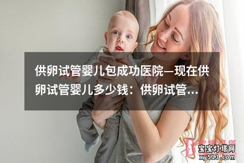 供卵试管婴儿包成功医院—现在供卵试管婴儿多少钱：供卵试管婴儿包成功医院：专业服务，健康呵护