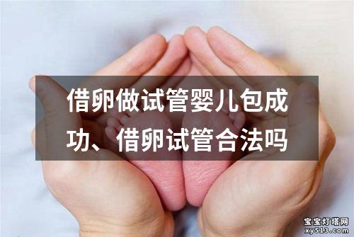 借卵做试管婴儿包成功、借卵试管合法吗