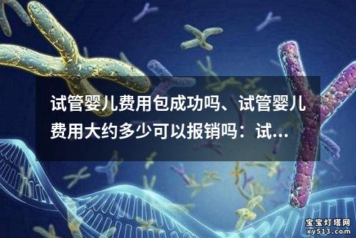 试管婴儿费用包成功吗、试管婴儿费用大约多少可以报销吗：试管婴儿费用包成功吗？