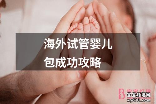 海外试管婴儿包成功攻略