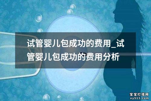 试管婴儿包成功的费用_试管婴儿包成功的费用分析