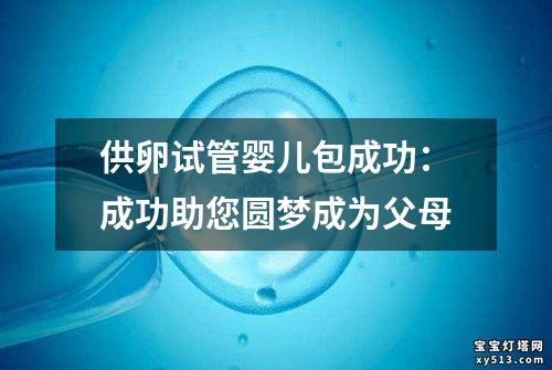 供卵试管婴儿包成功：成功助您圆梦成为父母