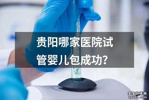 贵阳哪家医院试管婴儿包成功？