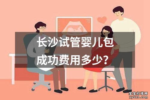 长沙试管婴儿包成功费用多少？