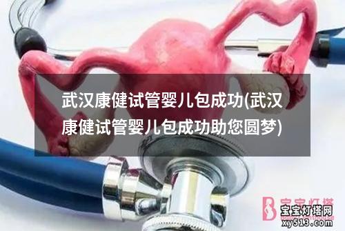 武汉康健试管婴儿包成功(武汉康健试管婴儿包成功助您圆梦)