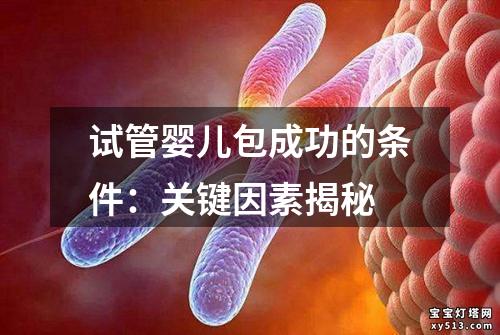 试管婴儿包成功的条件：关键因素揭秘