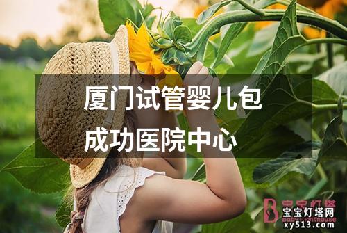 厦门试管婴儿包成功医院中心