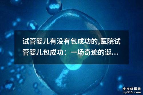 试管婴儿有没有包成功的,医院试管婴儿包成功：一场奇迹的诞生