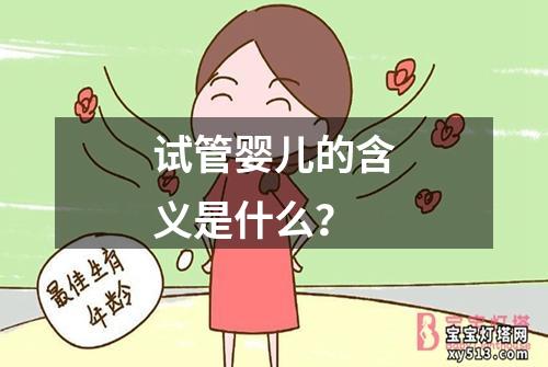 试管婴儿的含义是什么？