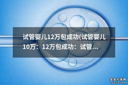 试管婴儿12万包成功(试管婴儿10万：12万包成功：试管婴儿助您圆梦)