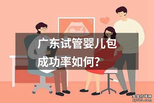 广东试管婴儿包成功率如何？