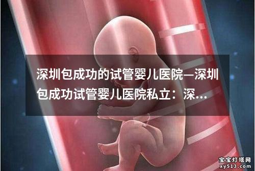 深圳包成功的试管婴儿医院—深圳包成功试管婴儿医院私立：深圳试管婴儿医院：包成功的新选择