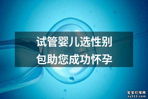 试管婴儿选性别包助您成功怀孕