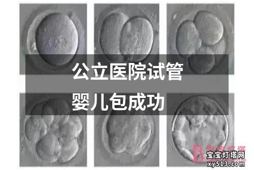 公立医院试管婴儿包成功