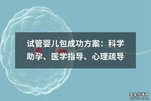 试管婴儿包成功方案：科学助孕、医学指导、心理疏导