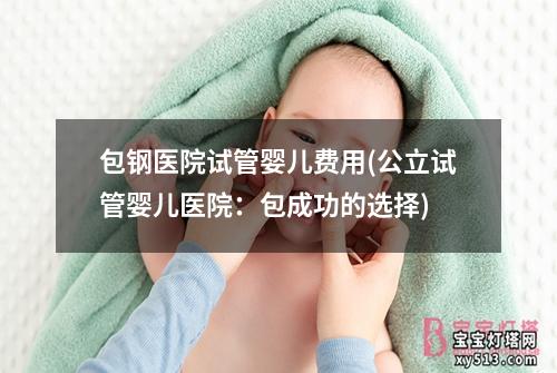 包钢医院试管婴儿费用(公立试管婴儿医院：包成功的选择)