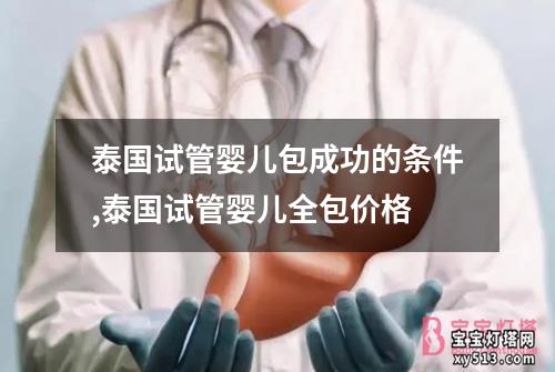 泰国试管婴儿包成功的条件,泰国试管婴儿全包价格