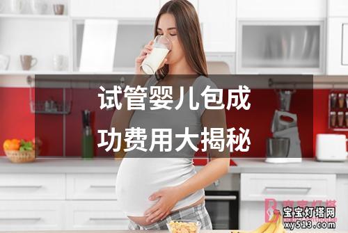 试管婴儿包成功费用大揭秘