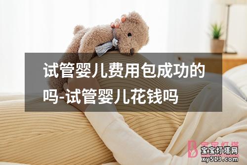 试管婴儿费用包成功的吗-试管婴儿花钱吗