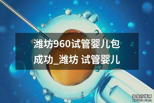 潍坊960试管婴儿包成功_潍坊 试管婴儿