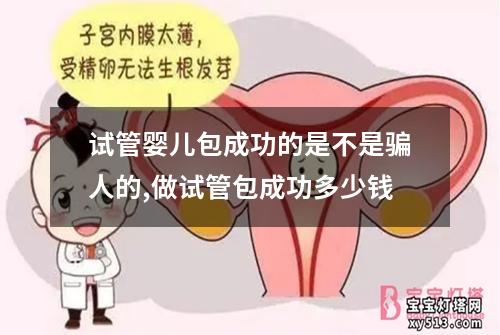 试管婴儿包成功的是不是骗人的,做试管包成功多少钱