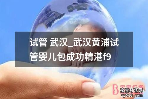 试管 武汉_武汉黄浦试管婴儿包成功精湛f9